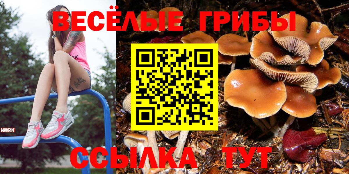 Псилоцибиновые грибы Psilocybine cubensis  Вход с VPN  Тимашёвск 