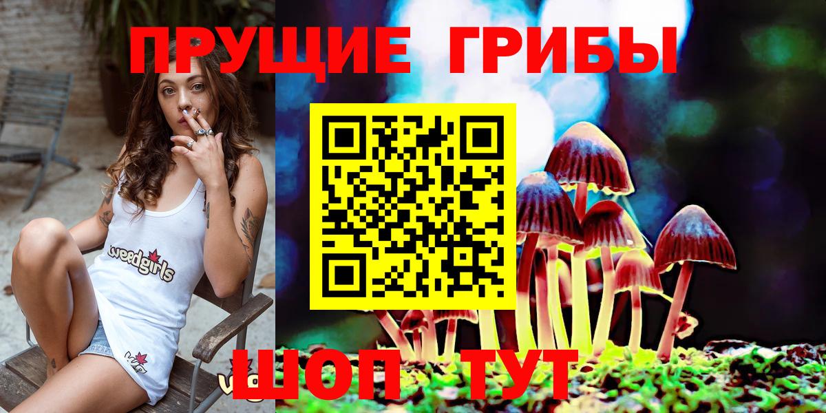 Галлюциногенные грибы GOLDEN TEACHER Тимашёвск
